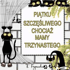 Czarne koty przypominają, że dziś piątek 13-go
